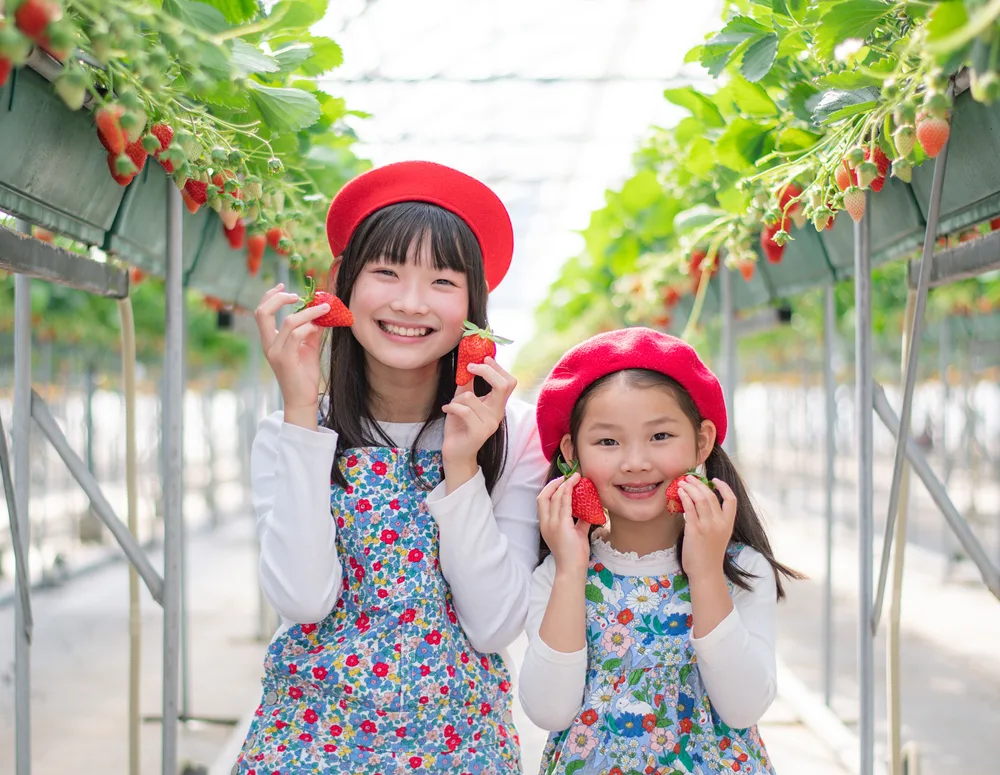 フルーツパフェ＆カフェ