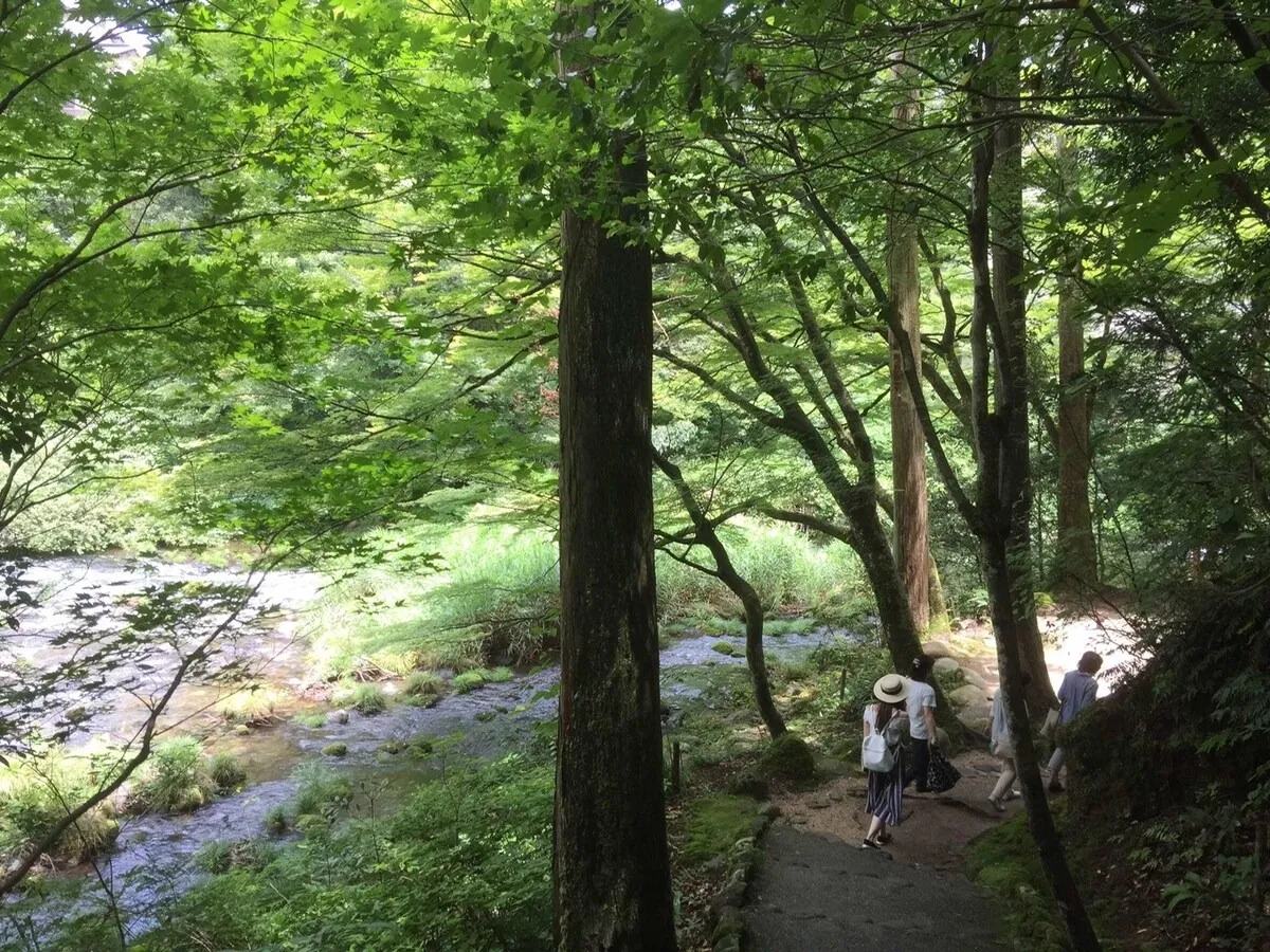黒崎BASE ロケーション（海・里山）5